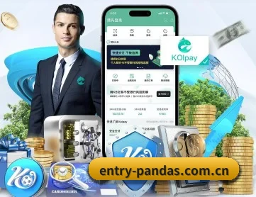 entry-pandas.com.cn APP 深度功能 - db game